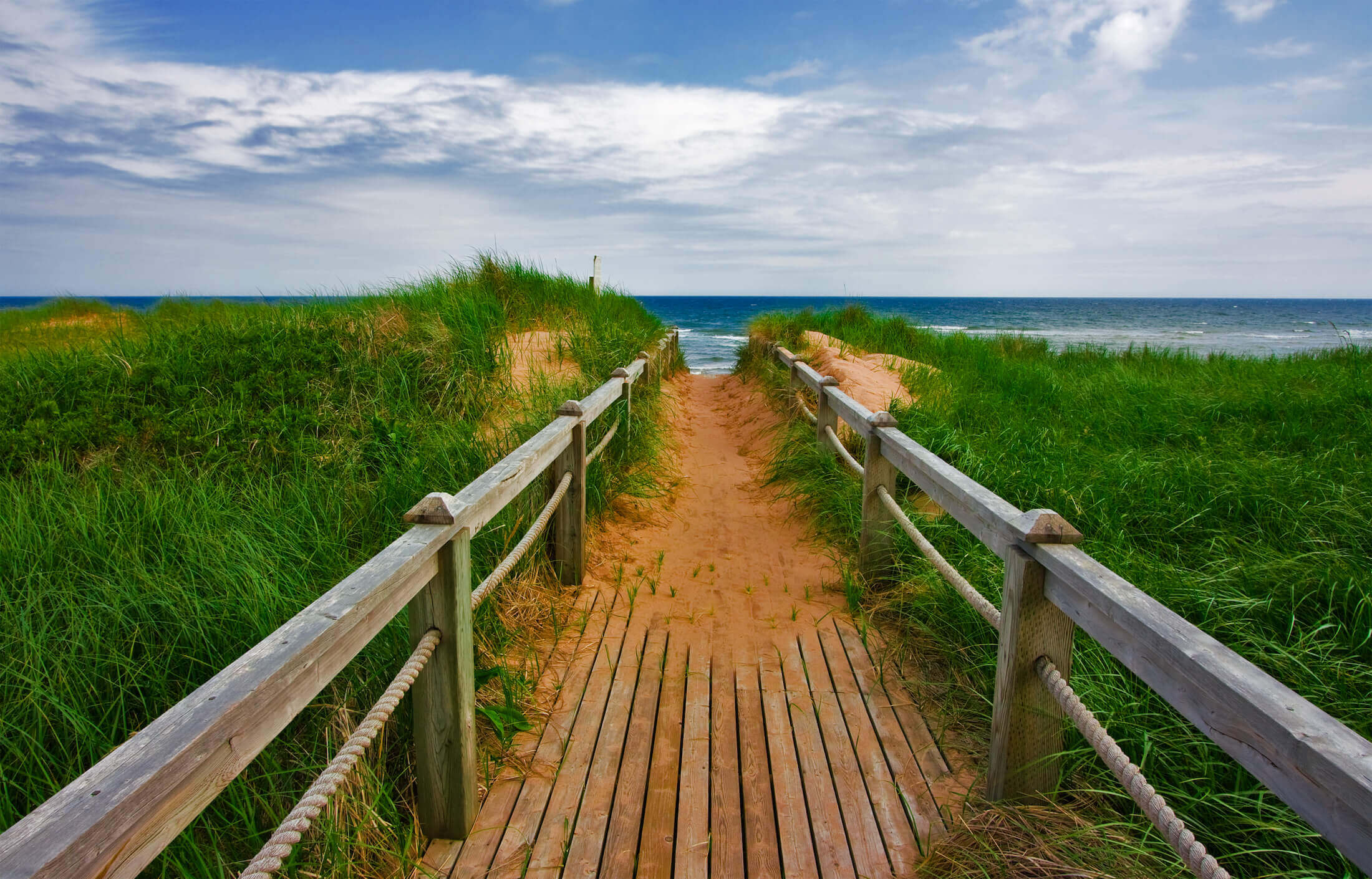 The path to a PEI beach. East Coast AF.
