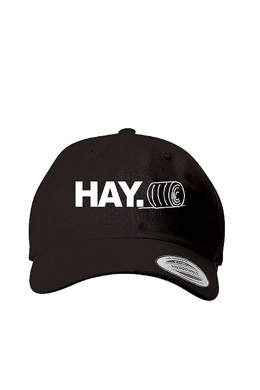 HAY. Classic Dad Cap-East Coast AF Apparel